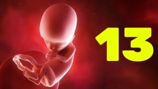 13 semanas de gravidez