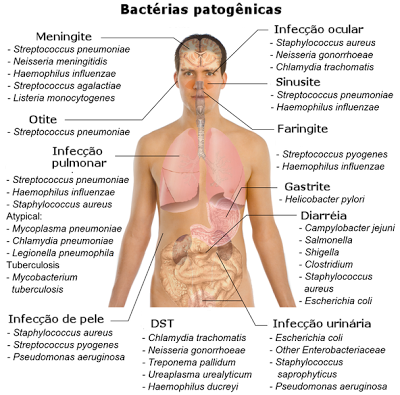 Infecções bacterianas