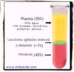 Componentes do plasma sanguíneo