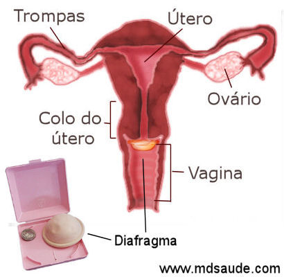Diafragma