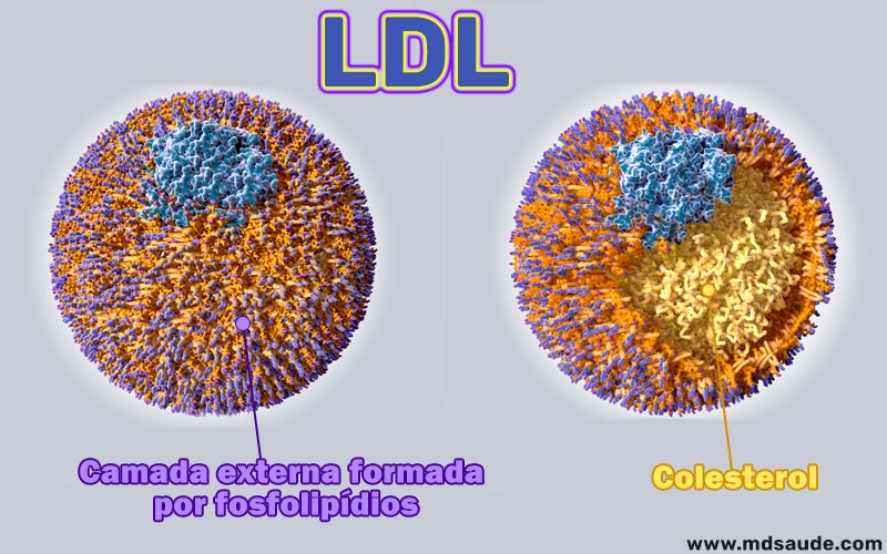 Molécula de LDL