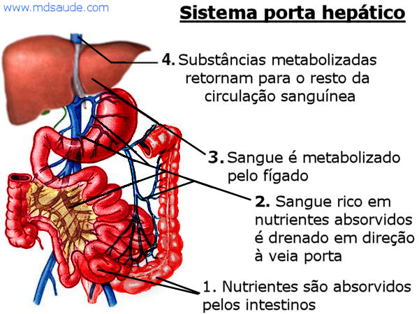 Sistema porta