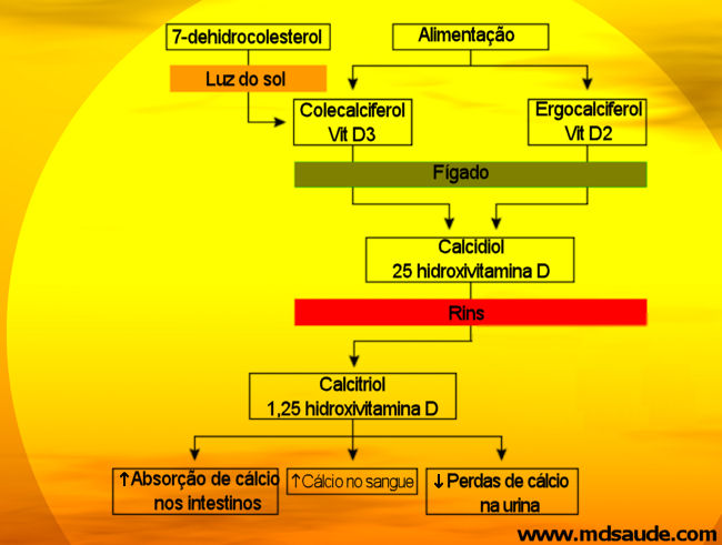 Vitamina D