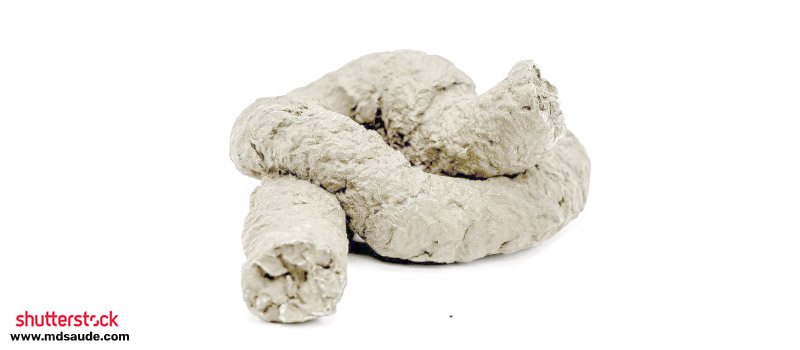 Acolia fecal