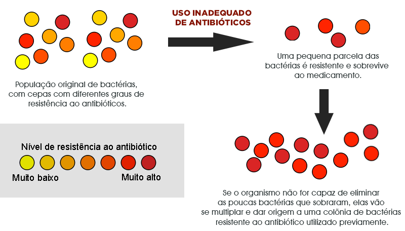 Mecanismo de resistência aos antibióticos