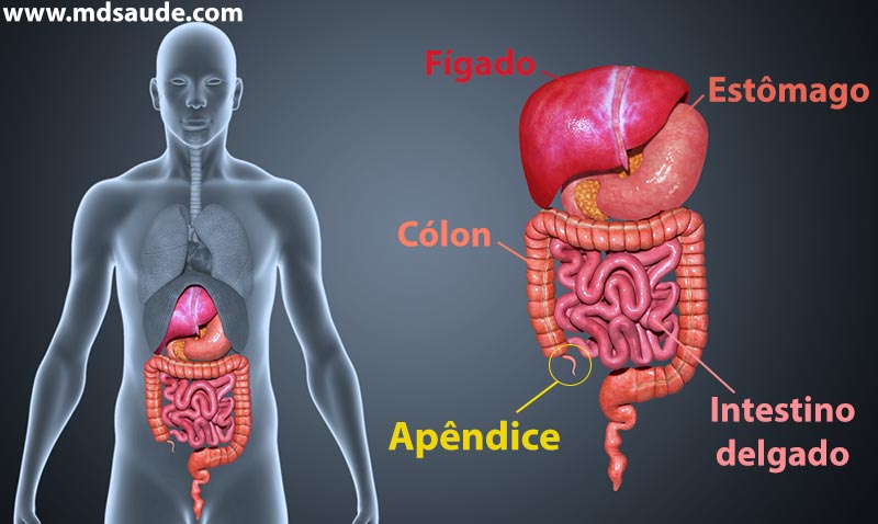 Localização do apêndice