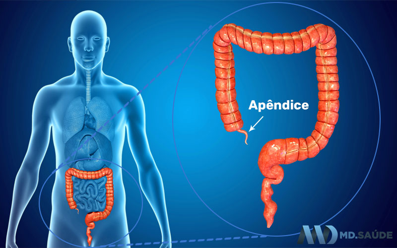 Localização do apêndice