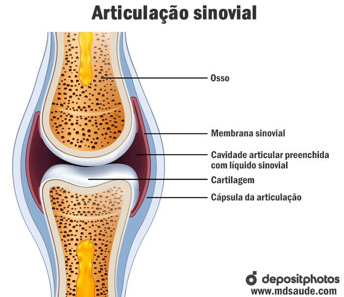Articulação sinovial