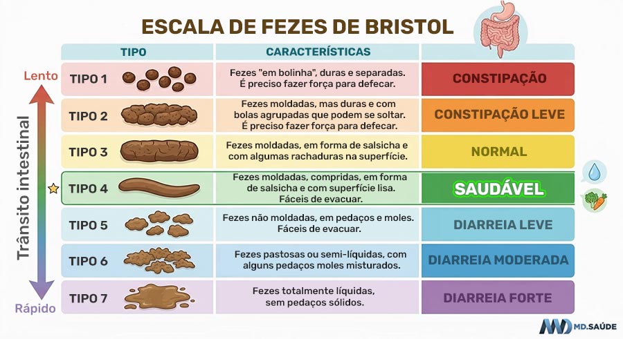 Escala de fezes de Bristol
