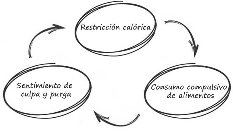 Círculo vicioso de la bulimia nerviosa