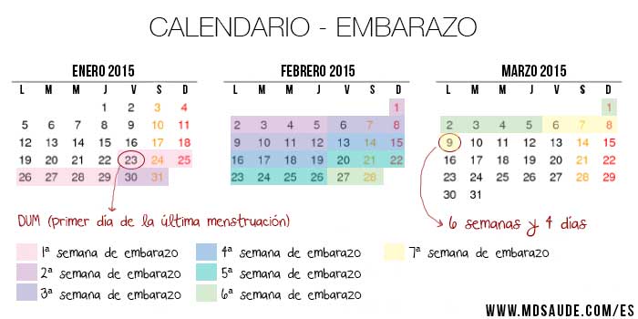 calendario del embarazo