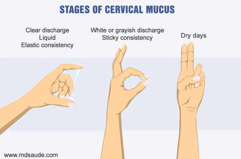 Cervical mucus