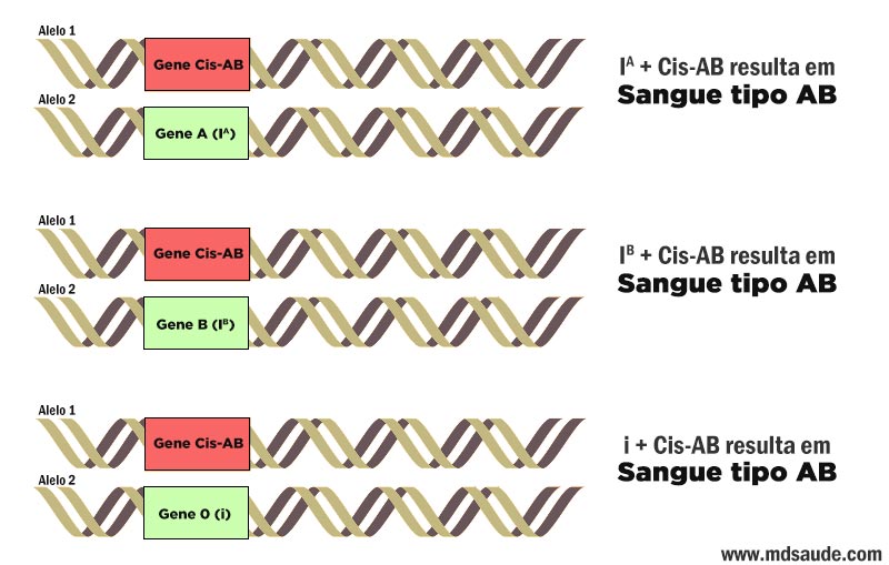 Gene Cis-AB