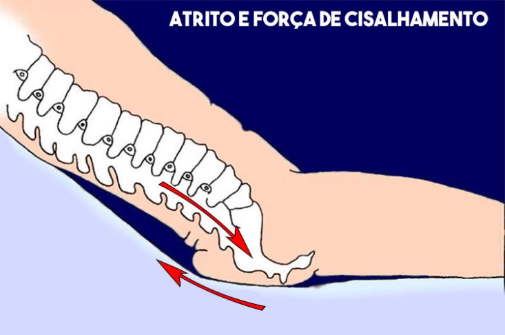 Atrito e a força de cisalhamento