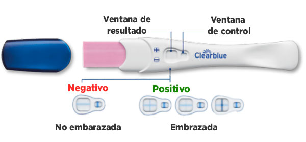 Prueba de embarazo Clearblue Plus - Resultados