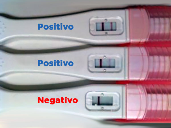 Teste de gravidez confirme plus - 2 com resultado positivo e 1 com resultado negativo.