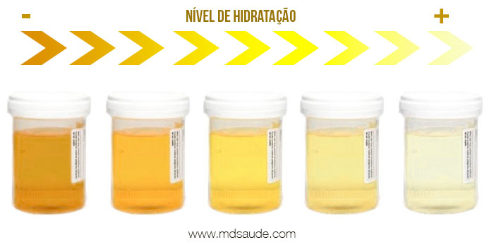 Graus de hidratação da urina - Quanto mais concentrada, mais amarelada.