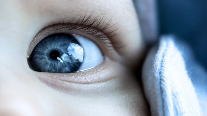 Cor dos olhos