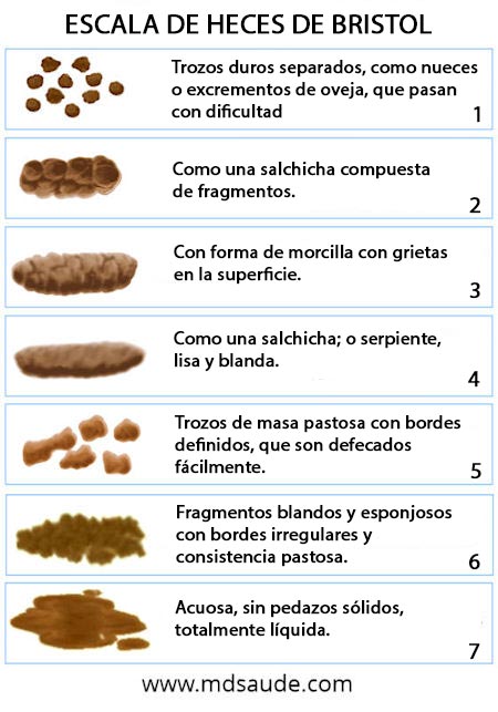Escala de heces de Bristol