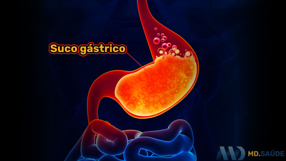 Suco gástrico