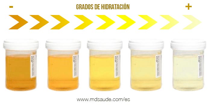 Grados de hidratación