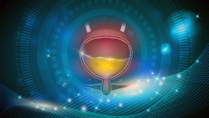 Infecção urinária