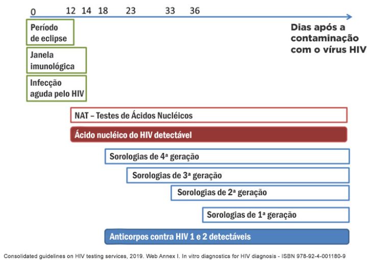 Janela imunológica do HIV