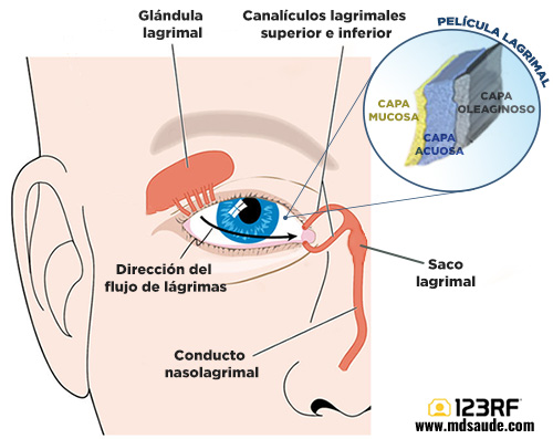 Sistema lagrimal: así se producen las lágrimas