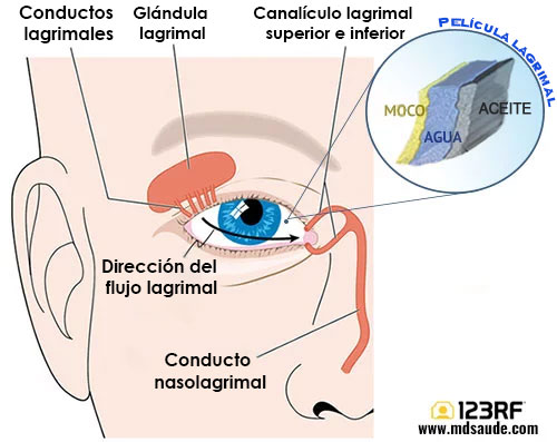 Ojos secos - lagrimas