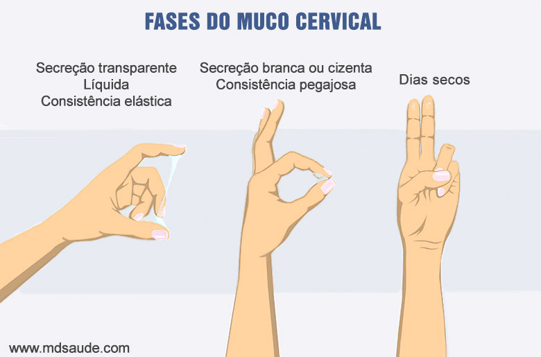 Fases do muco cervical - alterações do corrimento