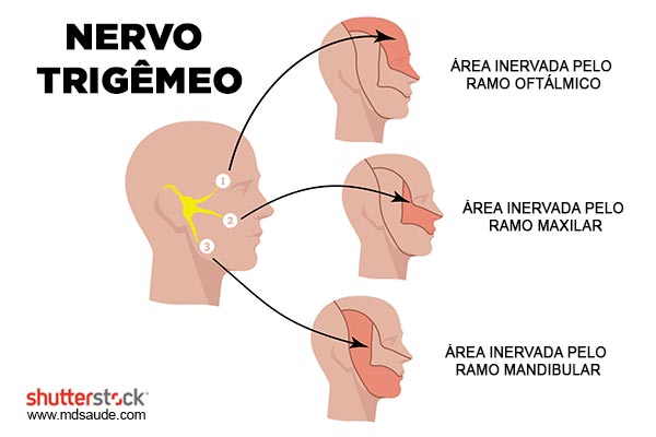 Nervo trigêmeo