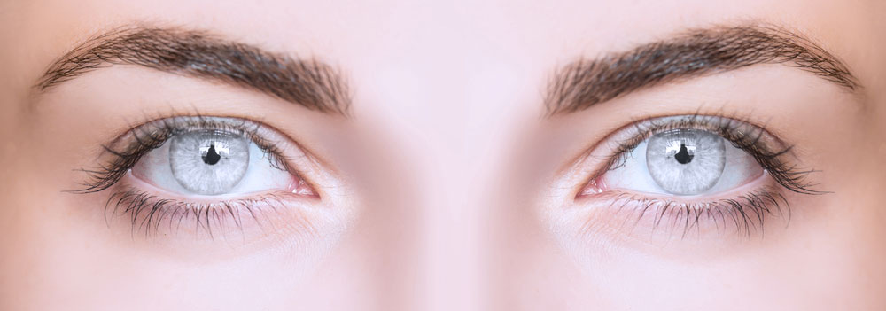 Olhos cinzentos