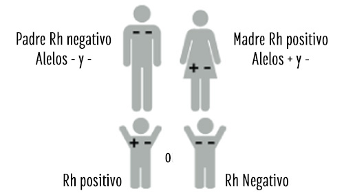 Padre Rh negativo y madre Rh positivo