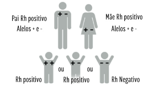 Mãe e pai com Rh positivo, porém com alelos positivo e negativo.