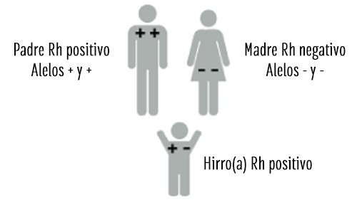Padre Rh positivo y madre Rh negativo