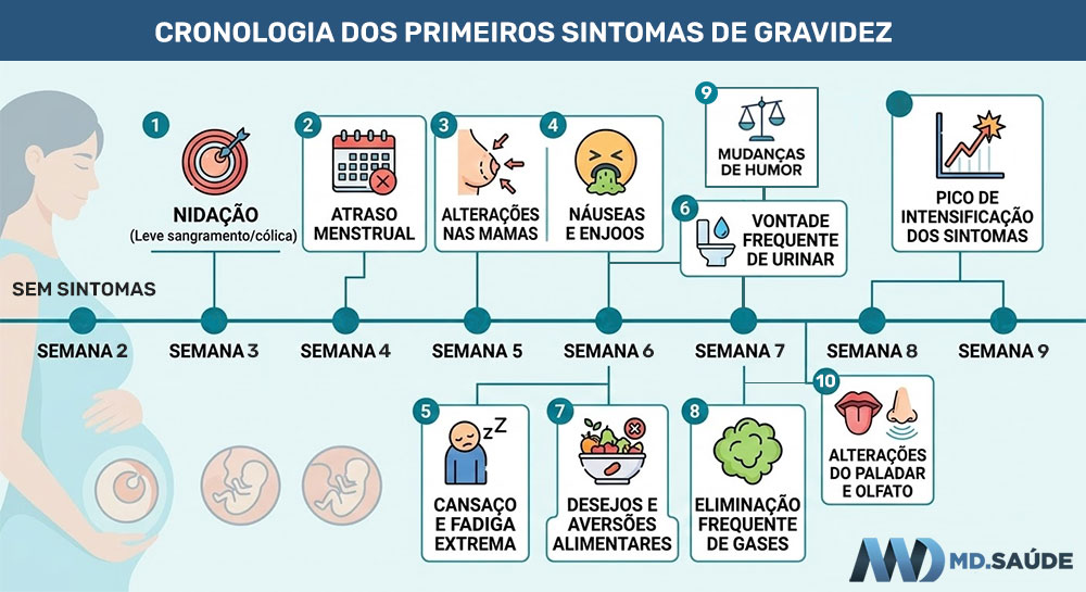 Infográfico com cronologia precisa dos 10 principais sintomas de gravidez da 1ª a 9ª semana.