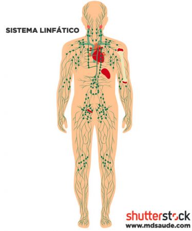 Sistema linfático e linfonodos