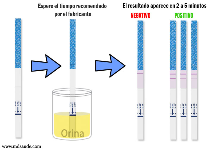 Prueba de embarazo en tiras - resultados