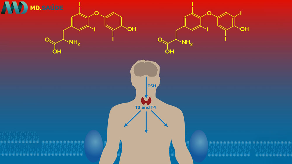 Tireoide