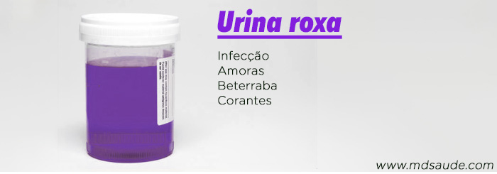 Causas de xixi roxo