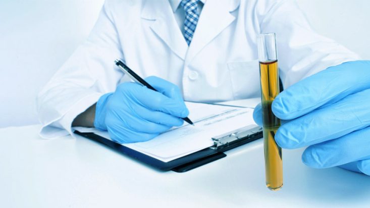 Urocultivo